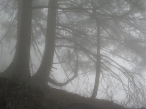 : https://lh3.googleusercontent.com/_dudpHgVsqjA/TdrE3WKHWOI/AAAAAAAAAXA/48q72PBSook/s288/21.jpg